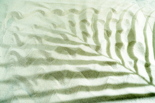 Abstract tropical palm leaf shadow cast on wavy white sand, creating a serene summer background. Summer, natural or texture background