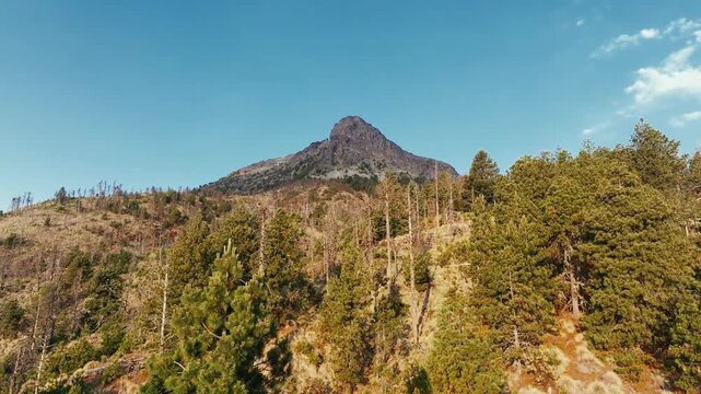 Low altitude slow motion aerial overlooking Nevado de Colima (Zapotepetl) and pine covered slopes, Mexico.