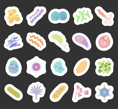 Bacteria virus set featuring staphylococcus streptococcus diplococcus bifidobacterium helicobacter mycobacterium spirochete vibrio toxoplasma plasmodium
