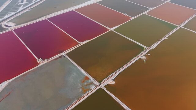Geometric salt evaporation ponds in vibrant pink, red, orange, and green hues at Sambhar Salt Lake. The camera moves laterally across the divided basins separated by white embankments in Rajasthan.