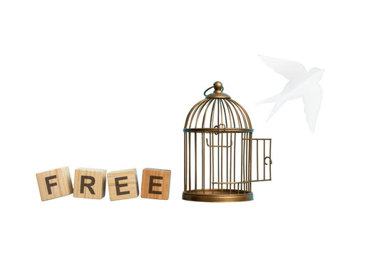 White bird escaping from an open golden cage near wooden blocks spelling free