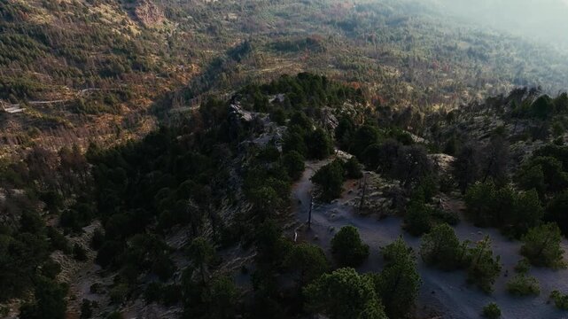 Steep volcanic slopes and rugged terrain surrounding Nevado de Colima (Zapotepetl), with scattered pine trees across the mountainside in Jalisco, Mexico. Aerial view.