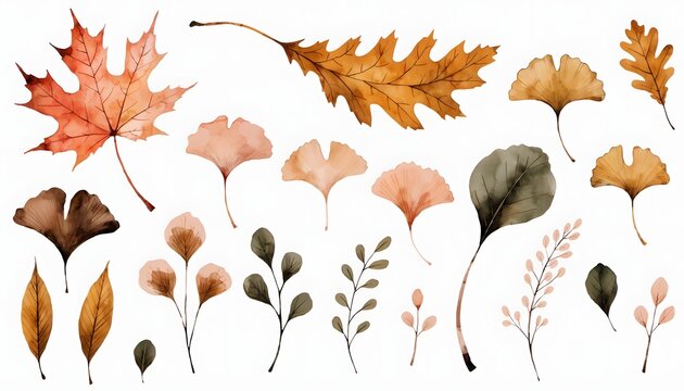 Watercolor autumn leaves and ginkgo collection. Fall botanical set and seasonal clip art. Various colorful leaves and twigs on a white background
