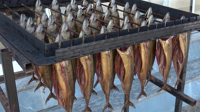 Fethiye, Turkey - 23 of August 2026: Smoked mackerel fish hanging on metal drying rack
