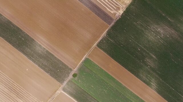 Aerial view of geometric agricultural fields with diverse crop patterns and a small dirt path crossing the landscape in Serbia.