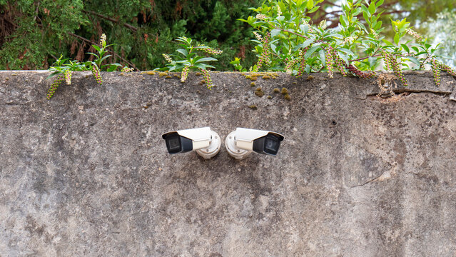 Two CCTV cameras mounted on an old wall, behind a private garden
