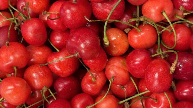 Ripe red cherries with green stems form a captivating close-up background