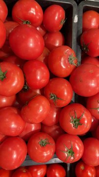 Fresh red tomatoes stacked closely, showcasing vibrant color and texture, suitable as a background