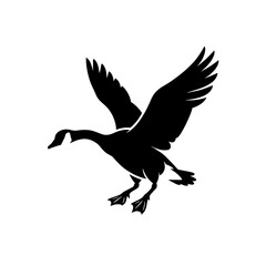 Fototapeta premium Black silhouette of a flying Canadian goose