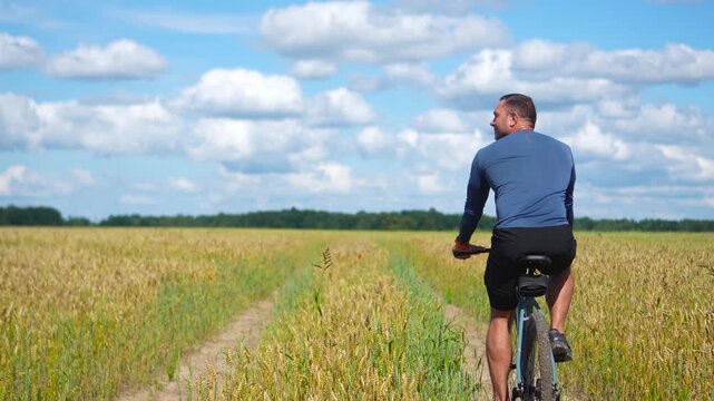 Cinematic static footage from a back view of a lone male cyclist slowly riding his bicycle away down a gravel path through a vast golden wheat field.