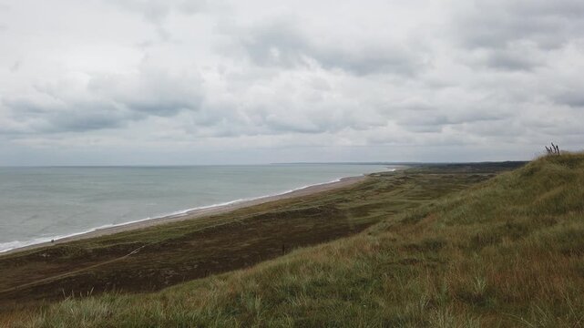 Danish coastline with dune grass