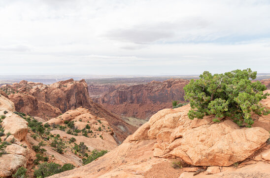 The Landscape of Canyonlands National Park, Utah, USA