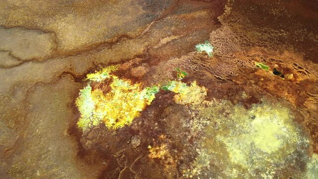 Aerial view of the vibrant yellow sulfur deposits and mineral crusts of the geothermal area in Dalol, Afar, Ethiopia.
