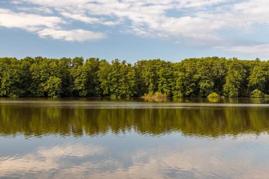 Pond with green forest reflection in Vrbenske rybniky nature reserve, Ceske Budejovice, Czech Republic