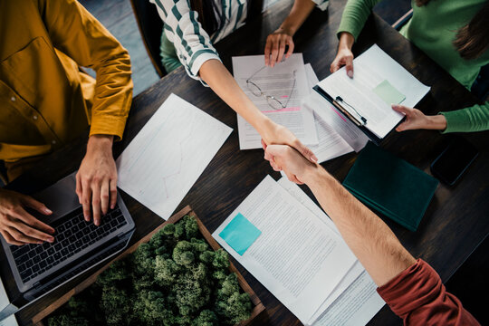 Business team handshake over documents and laptop during collaborative meeting around wooden table with sustainable plant centerpiece