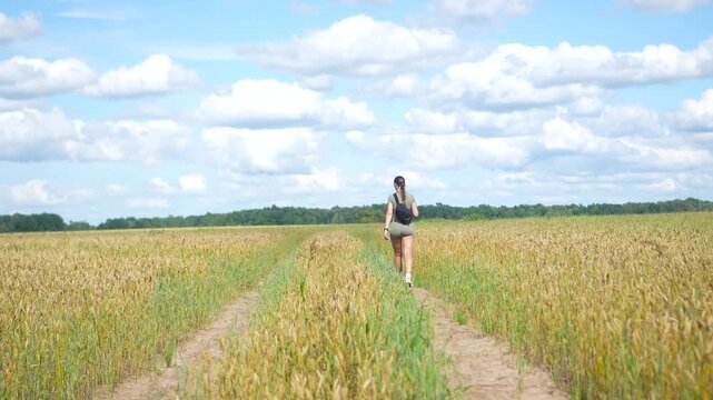 Cinematic static footage from a back view of a young fit woman slowly walking away down a gravel path through a vast golden wheat field.