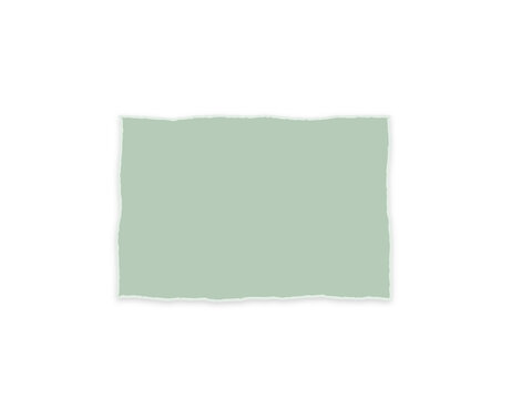 A rectangular piece of sage green paper with torn edges on white background