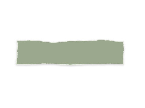 A horizontal strip of sage green paper with torn edges on white background