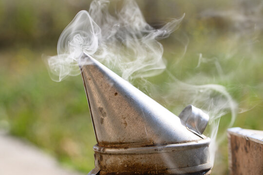 Bee smoker cone with smoke against green background