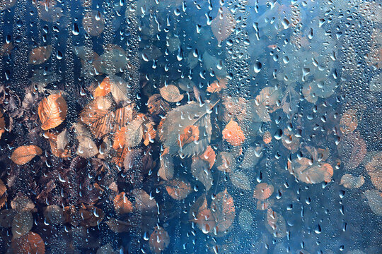 Drops on the window, autumn leaves, abstract autumn weather background