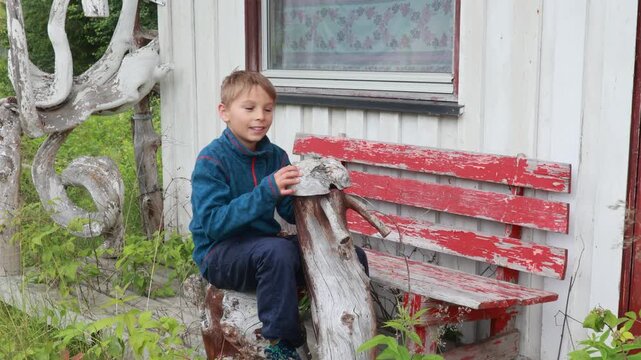 Happy child, boy and his dog, playing in front of an old house in Norway, flowers and beautiful nature