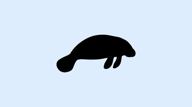 Manatee silhouette swimming in water