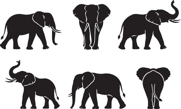 elephant silhouette set with different walking and standing poses vector illustration