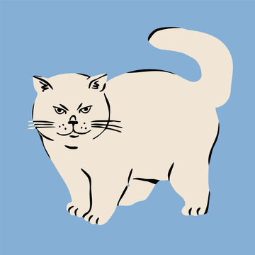 Funny fat chubby white cat standing and looking. Cute character. Hand drawn trendy Vector illustration. Pet care, animal graphic clipart, feline concept. Sticker, logo, print template. Isolated elemen