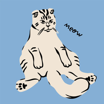 Funny cat sitting and looking with legs spread. Cute character. Hand drawn trendy Vector illustration. Pet care, animal graphic clipart, feline concept. Sticker, logo, print template. Isolated element
