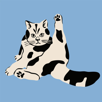 Funny cat sitting and looking with legs spread. Cute character. Hand drawn trendy Vector illustration. Pet care, animal graphic clipart, feline concept. Sticker, logo, print template. Isolated element
