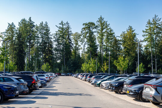 A large outdoor parking lot filled with rows of modern cars under a clear blue sky, backed by a fore