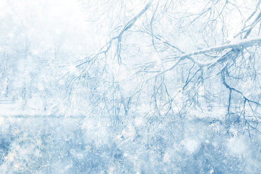 Snowy winter background in the park, blurred abstract seasonal backdrop, snowflake texture, light landscape background