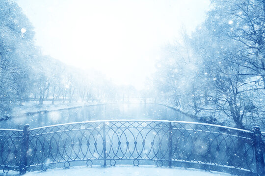 Snowy winter background in the park, blurred abstract seasonal backdrop, snowflake texture, light landscape background