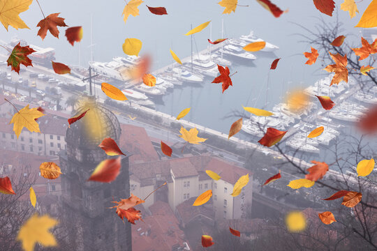 Falling autumn leaves, abstract background, autumn mood.