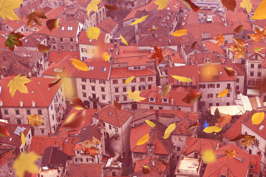 Falling autumn leaves, abstract background, autumn mood.