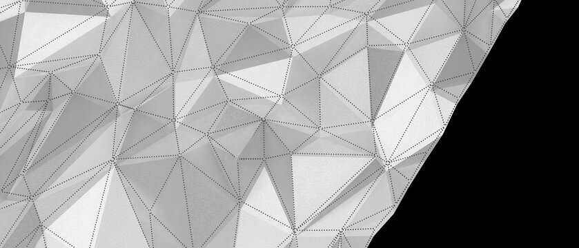 Intricate geometric surface with triangulated mesh and dotted lines in white.
