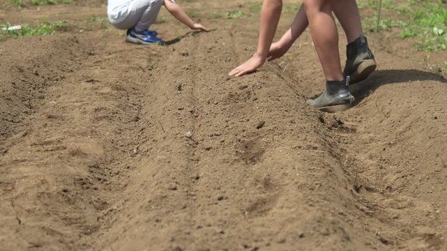 	畑に種を植える子供たち