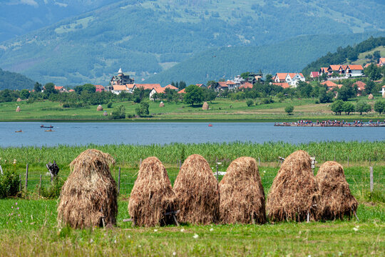 Plav, Montenegro - 28 July 2005: View of Lake Plav with traditional haystacks in the foreground, green fields, and the town of Plav nestled against rolling mountains.