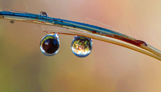 Water droplets macro photography
