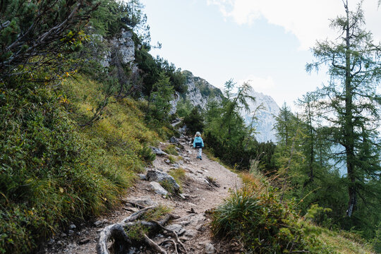 Cute little boy carefully climbing large rocks on steep mountain path. Happy safe childhood and active family nature travel.