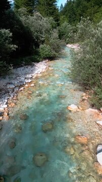 Scenic video of a crystal-clear turquoise mountain river Triglavska Bistrica flowing through a lush forest in the Peričnik area of Slovenia
