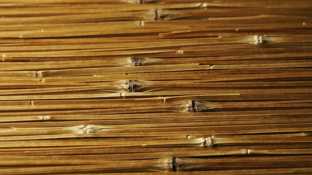 Natural bamboo texture background, horizontal dried reed stalks pattern, organic brown wooden surface for spa and wellness design, rustic eco-friendly wood backdrop.