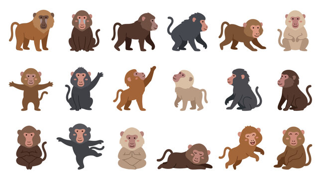 Set of cute baboon monkey characters in various poses and colors isolated on white background.
