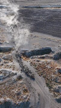 Adabag, Konya, Turkiye - 18 August 2026: Aerial view of a large herd of sheep moving along a dusty rural path, kicking up clouds of dust in the arid landscape.