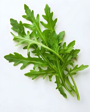 arugula leaves fresh herb vegetable isolated on white background