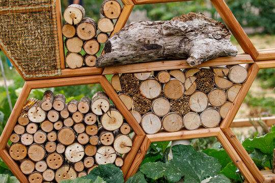 Close-up of a wooden insect hotel providing shelter for beneficial bugs and pollinators in a garden.