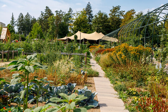 Vibrant garden with a winding path, diverse plants, and large event tents under a blue sky.