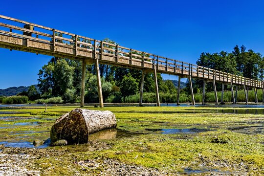 Historische Holzbr&uuml;cke zur Klosterinsel Werd am Hochrhein/Untersee bei Eschenz und Stein am Rhein in der Schweiz.