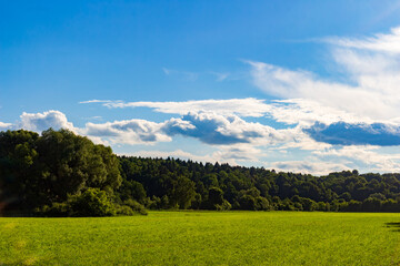 Vibrant green meadow stretches towards a lush forest edge under a massive expansive blue sky with fluffy white clouds on a bright sunny summer day in the countryside