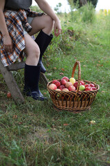 Fototapeta premium A large wicker basket of red apples held by a young woman wearing denim shorts, a plaid shirt, and rubber boots.
